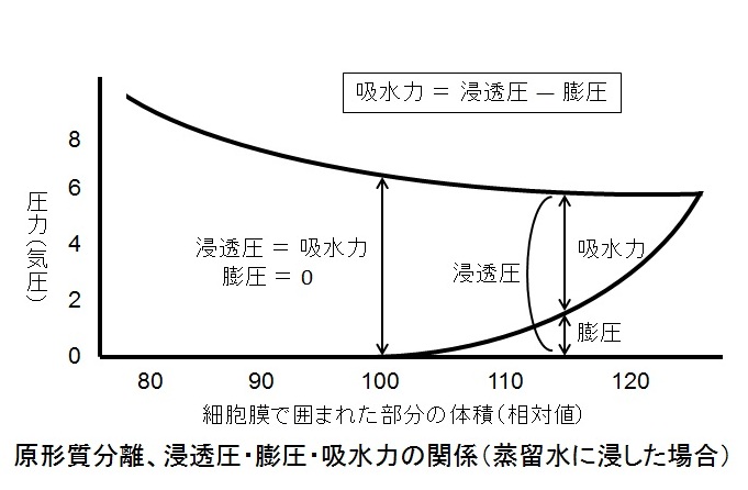 第１４回 日本人にしか理解できないグラフ 浸透圧 細胞体積相関 言いがかり高校生物